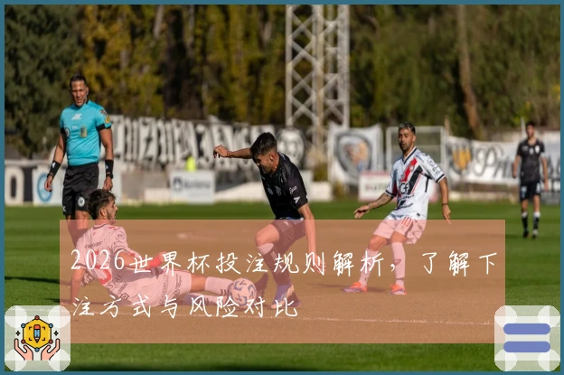 2026世界杯投注规则解析，了解下注方式与风险对比