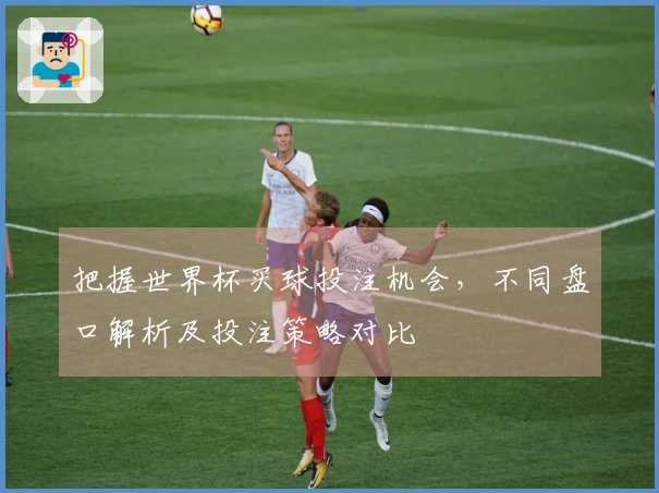 把握世界杯买球投注机会，不同盘口解析及投注策略对比