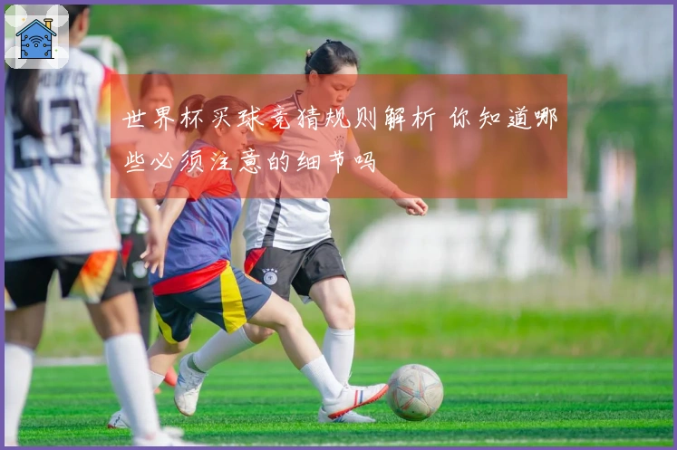 世界杯买球竞猜规则解析 你知道哪些必须注意的细节吗