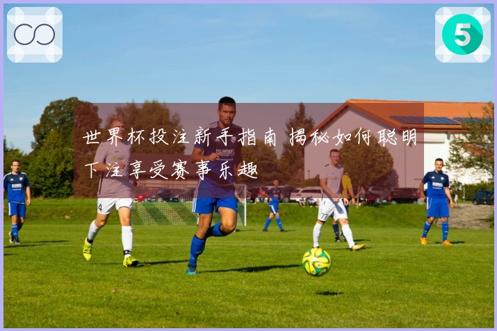 世界杯投注新手指南 揭秘如何聪明下注享受赛事乐趣