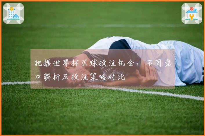 把握世界杯买球投注机会，不同盘口解析及投注策略对比