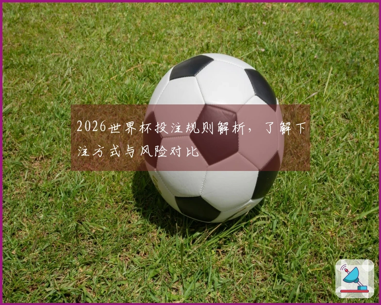 2026世界杯投注规则解析，了解下注方式与风险对比