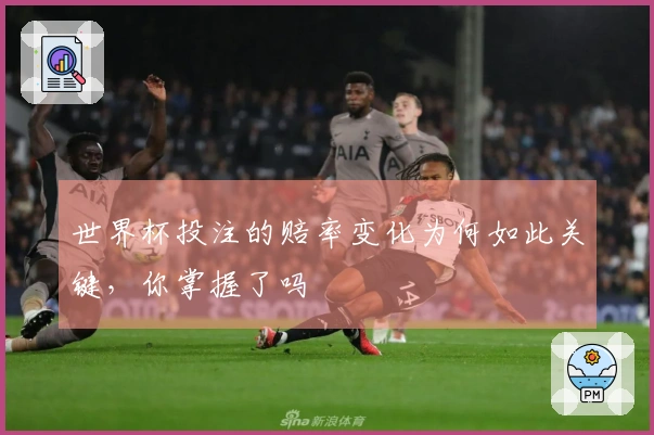 世界杯投注的赔率变化为何如此关键，你掌握了吗
