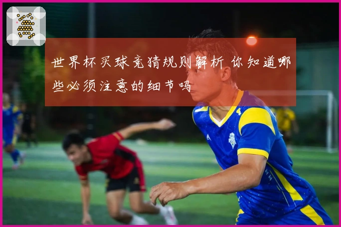 世界杯买球竞猜规则解析 你知道哪些必须注意的细节吗
